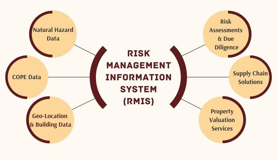 RMIS (Risk Management Information System) 