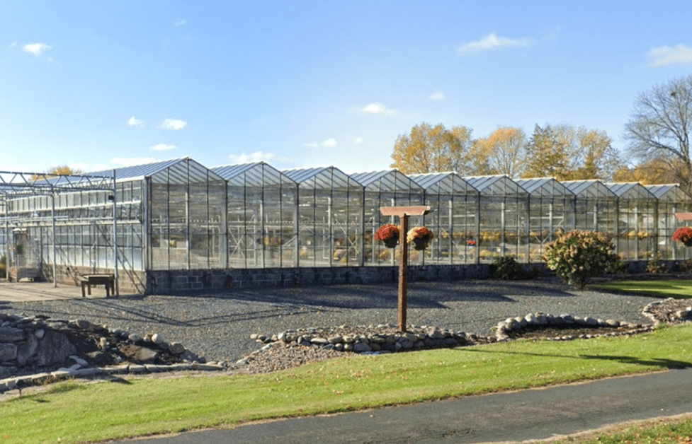 The greenhouse is shown prior to the fire with multiple beautiful glass rooms.